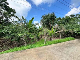 300SQM PRE SELLING RESIDENTIAL FARM LOT FOR SALE IN ALFONSO CAVITE, NEAR ALFONSO BAYAN. FLOOD FREE! TAGAYTAY LIKE WEATHER.