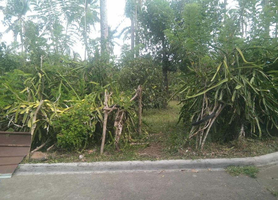 Southern Tagalog Arterial Road, San Andres, Malvar, Batangas