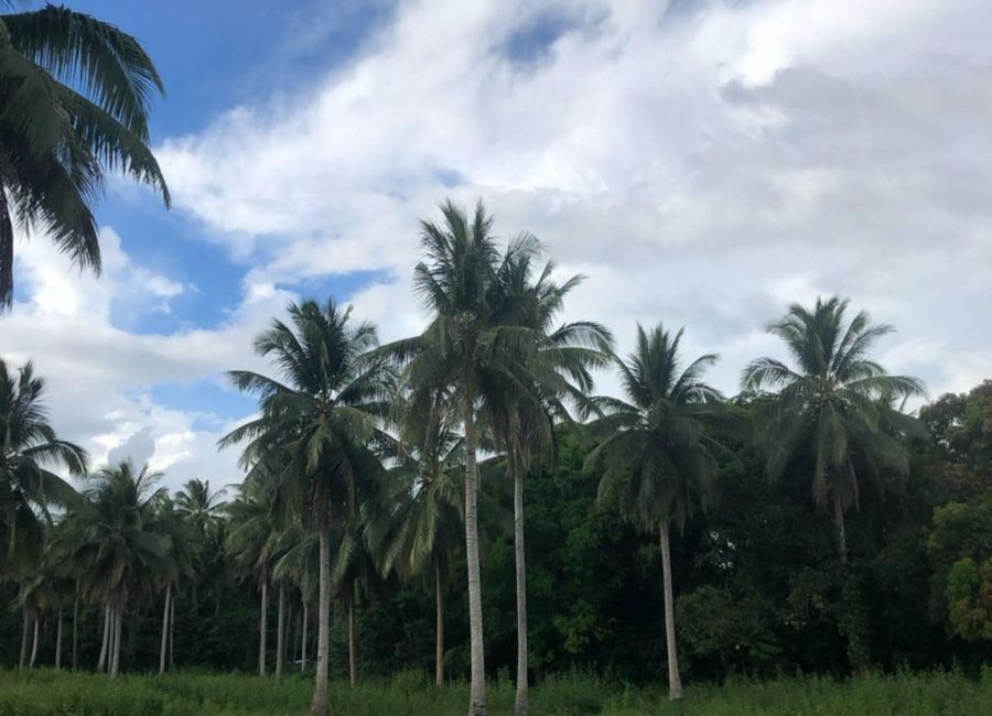 Southern Tagalog Arterial Road, San Andres, Malvar, Batangas image 2