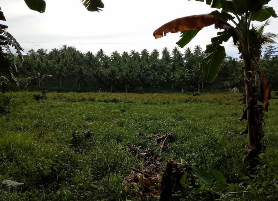 Southern Tagalog Arterial Road, San Andres, Malvar, Batangas image 3