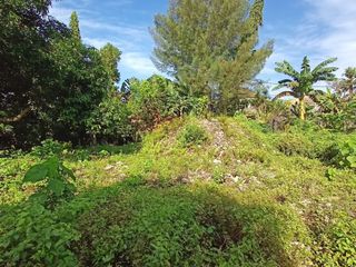 Land Dijual di Canggu