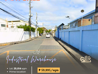 For Sale: 𝐌𝐮𝐥𝐭𝐢-𝐔𝐧𝐢𝐭 𝐈𝐧𝐝𝐮𝐬𝐭𝐫𝐢𝐚𝐥 𝐖𝐚𝐫𝐞𝐡𝐨𝐮𝐬𝐞 located at 2nd Avenue Bagumbayan, Taguig
