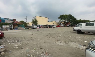 10,000-sqm Paranaque Property near NAIA/C5 Extension