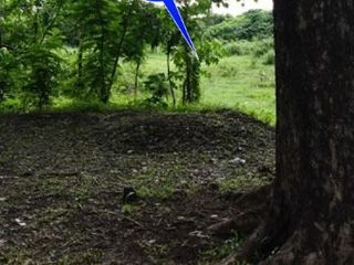 Vacant Lot 33,100 sqm Clean title for Sale in Dasmariñas City Cavite