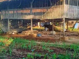 Tanah dijual Murah Area Taman Purbakala Pugung Raharjo Lampung Timur