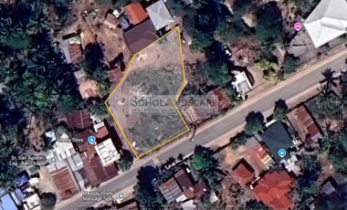 Commercial Lot for Sale located in Panglao Island, Bohol