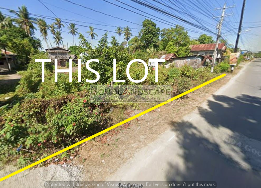 place photo 4