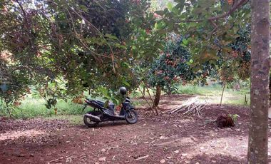 Tanah Kavling, Dekat Pintu Tol Sadang, Lt. 1200 m, Purwakarta.