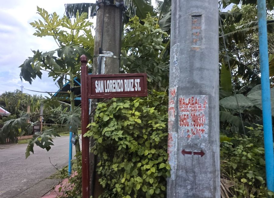 Palocpoc II, Mendez, Cavite image 2