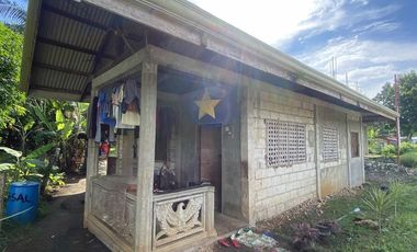 House and Lot for sale in Talisay, Pangangan Island, Calape, Bohol
