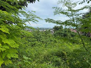Royale Cebu Estates Adjacent Lots 313-439sqm Consolacion
