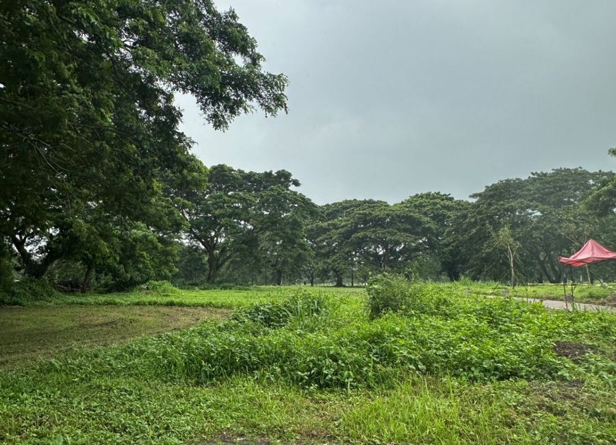 Soliento, Canlubang, Calamba, Laguna