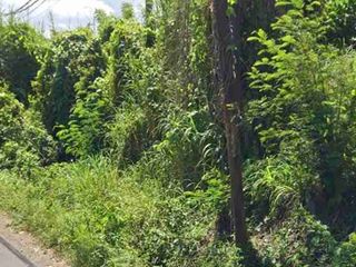 Di jual tanah di Gianyar dekat Pantai Masceti