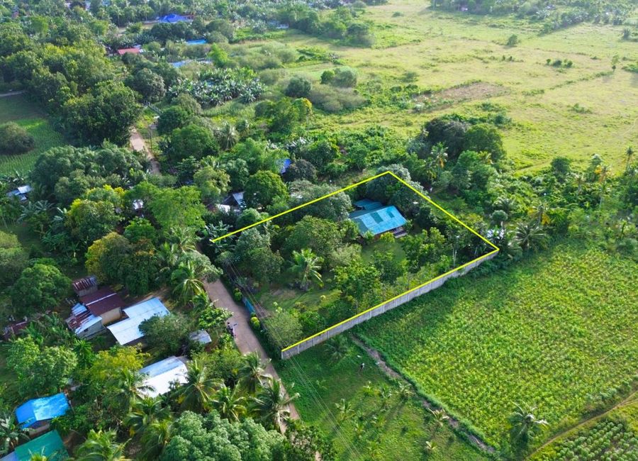 Fenced Property With Native House | Lamudi.com.ph