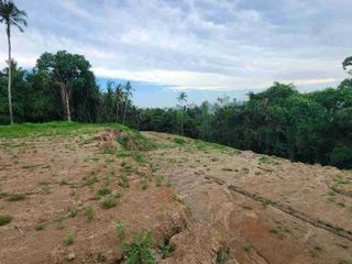 Tanah Kavling Villa Premium, View Tebing Hutan, Sungai dan Sawah. Harga Promo di Saba, Gianyar, Dekat Pantai dan Obyek2 Wisata