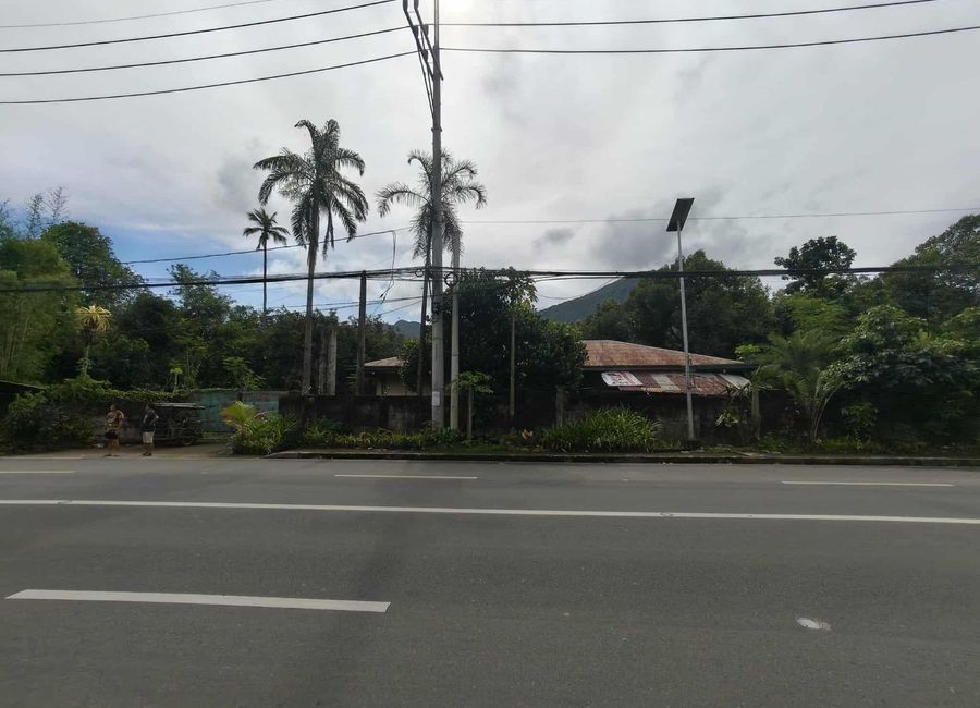 Calauan-Victoria Road, Dayap, Lamot 2, Calauan, Laguna image 2