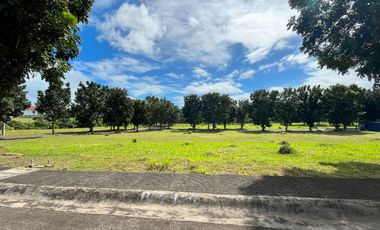 Private Residential Lot For Sale In Manila Southwoods Near Alabang Muntinlupa City