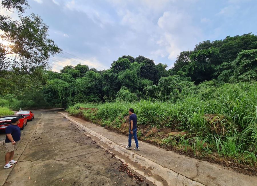 Parkridge Drive, Park Ridge, Santa Cruz, Antipolo, Rizal