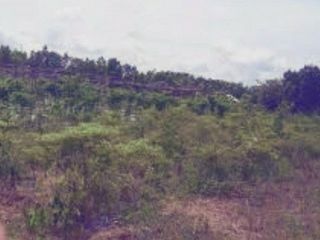 Dijual Tanah 300 Ha cocok untuk pertanian modern