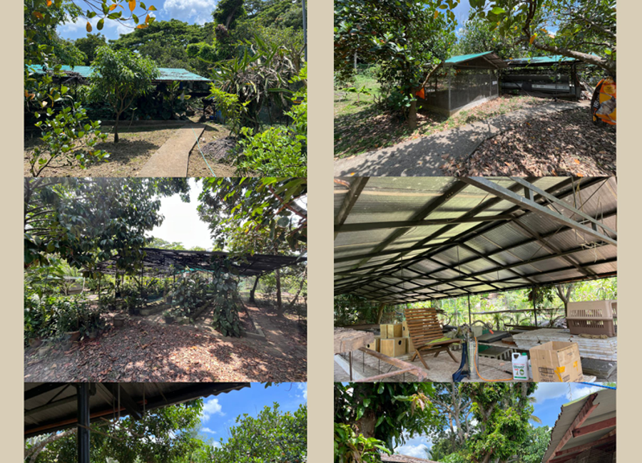 Luksuhin-Mangas Road, Mangas II, Esperanza Ilaya, Alfonso, Cavite image 3