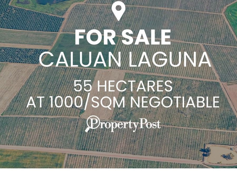 G. Medel Street, Poblacion, Kanluran, Prinza, Calauan, Laguna