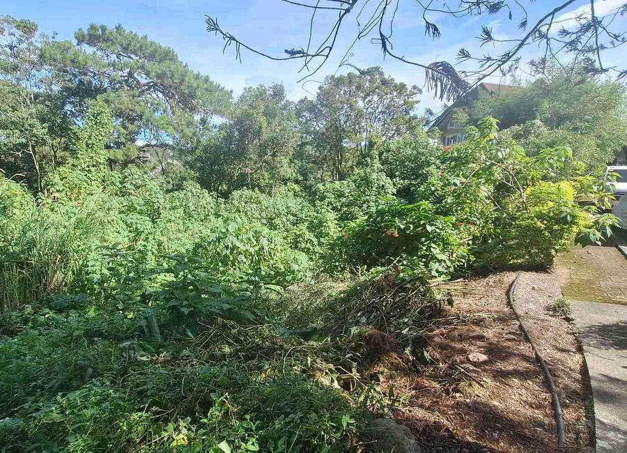place photo 2