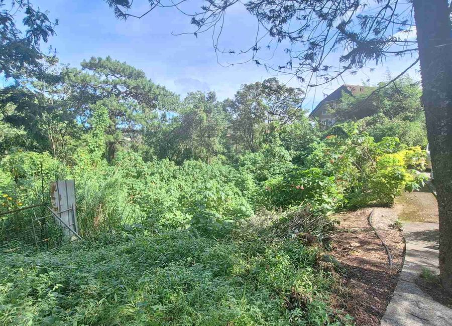 place photo 3