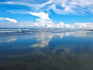 Amazing 37,915 Sqm Beachfront Freehold Land In Jembrana Negara