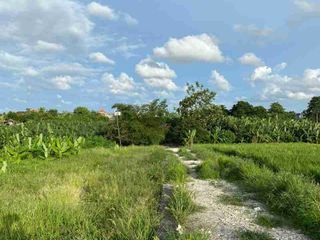 BANTAS VIEW OF RICE FIELDS