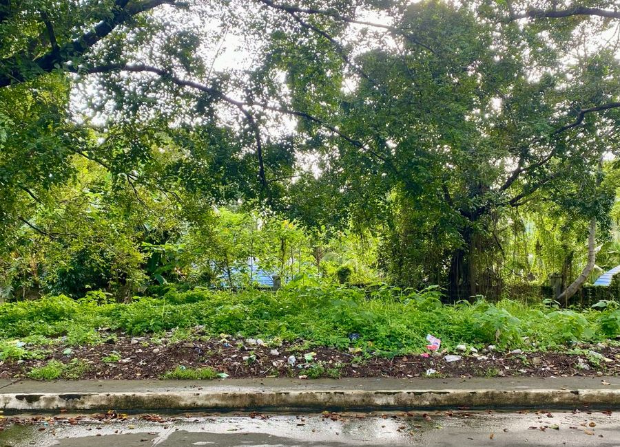 Lakewood Avenue, Lakewood, Lalakay, Los Baños, Laguna image 2