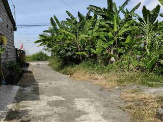 tanah jalan mobil di pasekan batubulan
