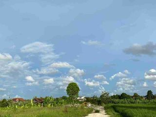 BANTAS RICE VIEW