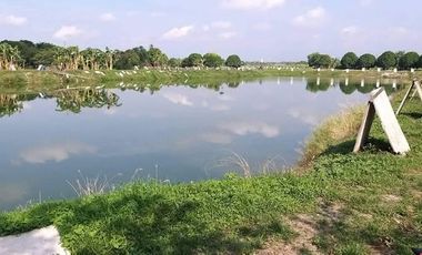EH-1149: ! For Sale ! 29,598 Sqm Fishpond Farm located at Sta. Barbara Bacolor Pampanga