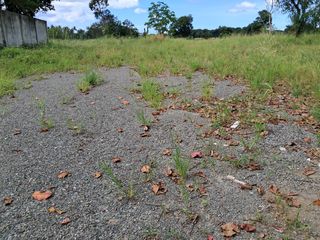 11,000 sqm commercial lot for rent in calasiao pangasinan