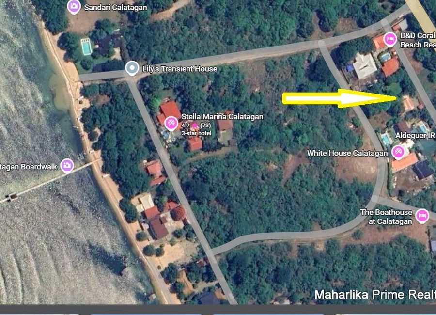 place photo 10