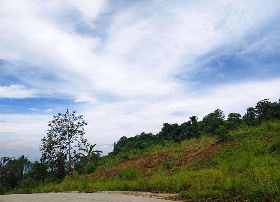 Forest Hills Avenue, Lower Tulakin, Bagong Nayon, Antipolo, Rizal image 3