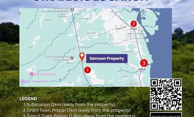 Agricultural Lot for Sale Along Roman Highway, Samal, Bataan