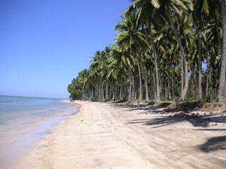 123 hectares titled Aramaywan beach, Quezon, Palawan (RUSH SALE)