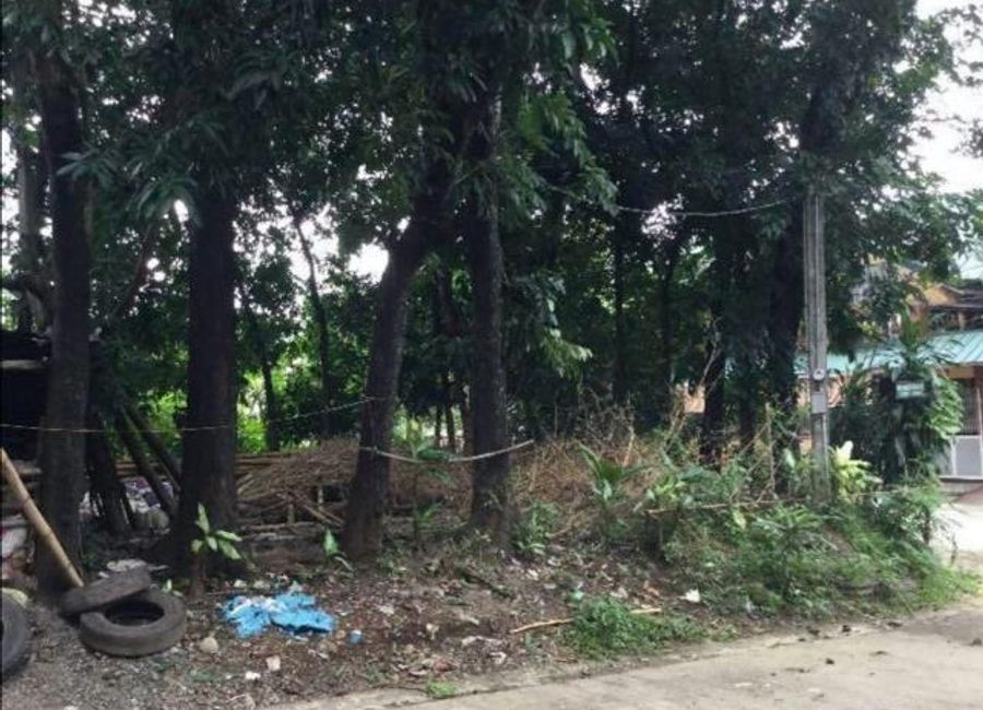 Prometheus Street, Crestview, Cupang, Antipolo, Rizal