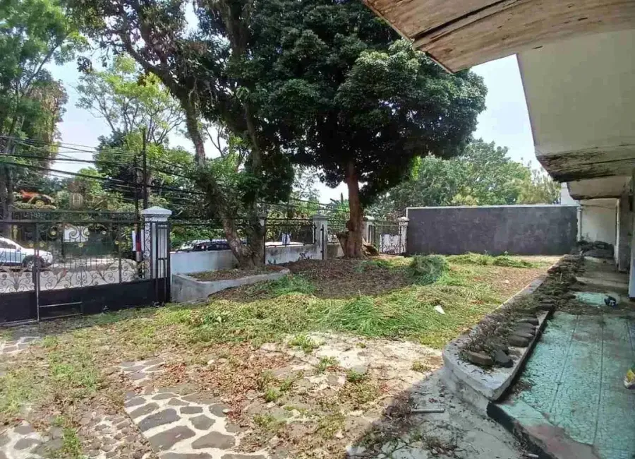 place photo 10