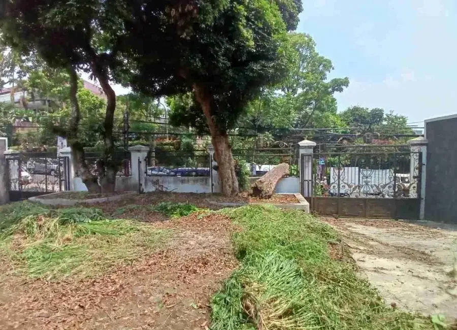 place photo 12
