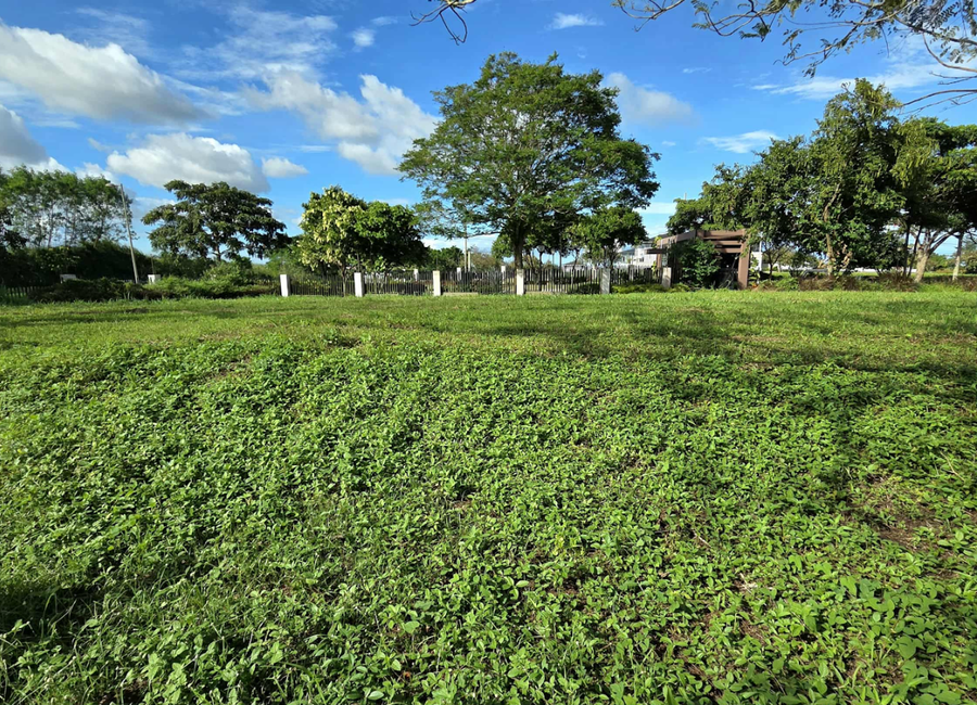 Yellowstone Loop, Mirala, Canlubang, Calamba, Laguna