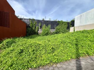 TANAH PREMIUM PERERENAN, CANGGU