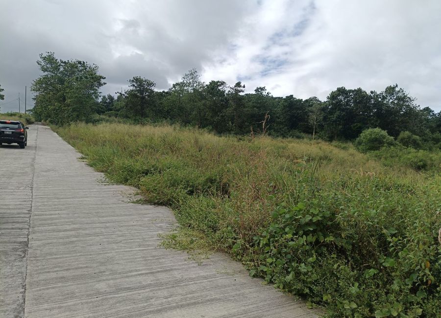 Eastridge Avenue, Village East 3, San Roque, Mata, Binangonan, Rizal image 2