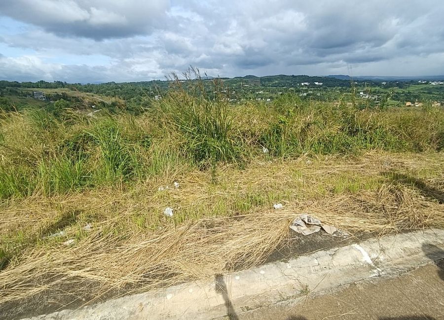 Eastridge Avenue, Village East 3, San Roque, Mata, Binangonan, Rizal image 3
