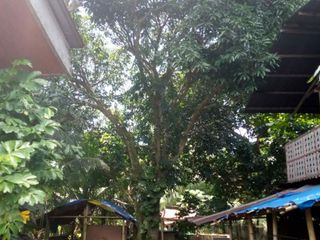 INDUSTRIAL LOT  1,000sqm LOT FOR SALE in DARONG, STA. CRUZ, DAVAO DEL SUR