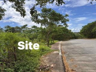 FOR SALE - Residential/Agricultural in Trece Martires, Cavite