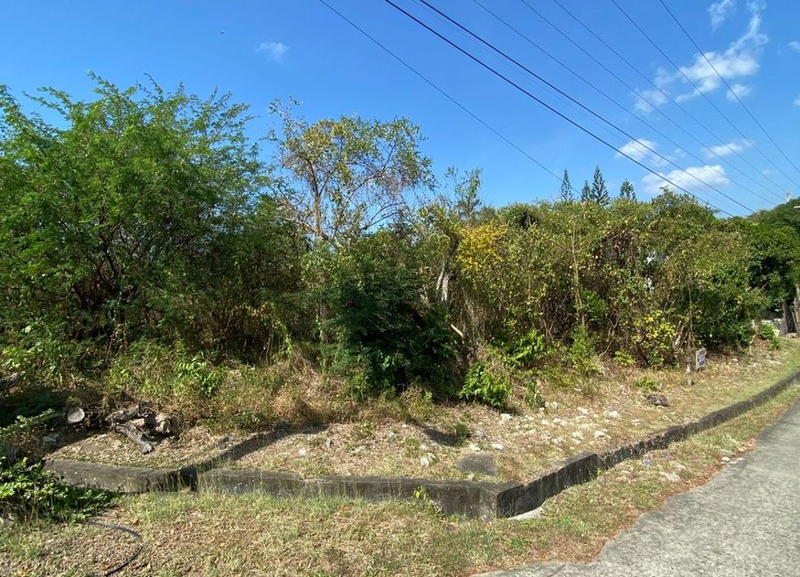 Tali Beach Subdivision, Balaytigue, Nasugbu, Batangas