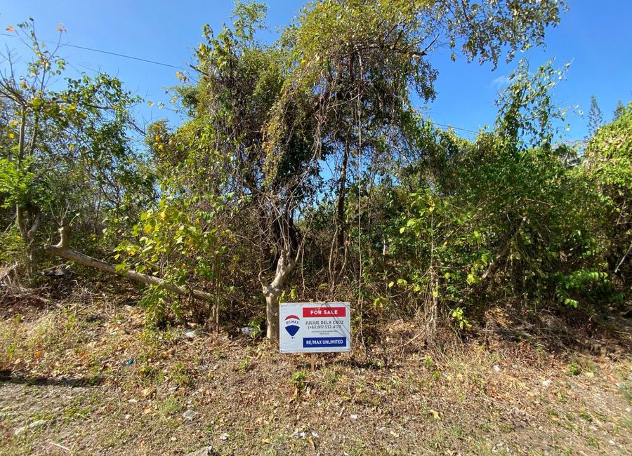 Tali Beach Subdivision, Balaytigue, Nasugbu, Batangas image 2