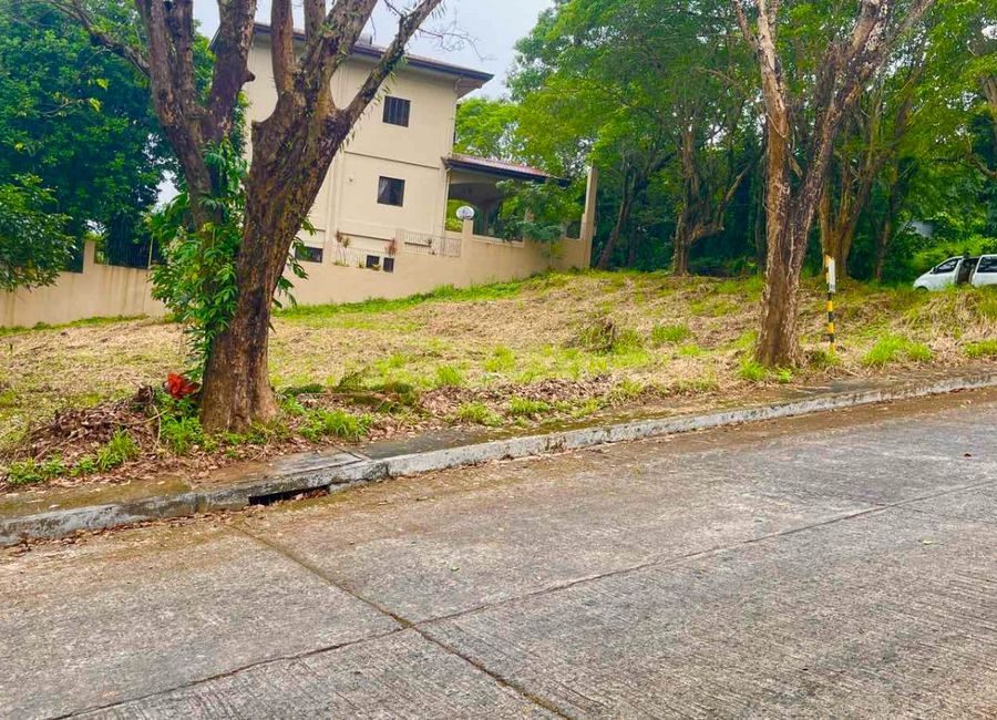 Richdale Subdivision, Santa Cruz, Antipolo, Rizal image 2